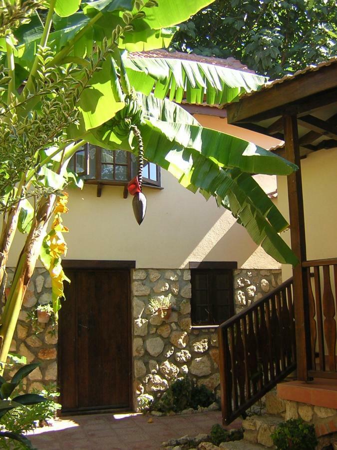 Mountain Lodge Hotel Doger Koyu Экстерьер фото